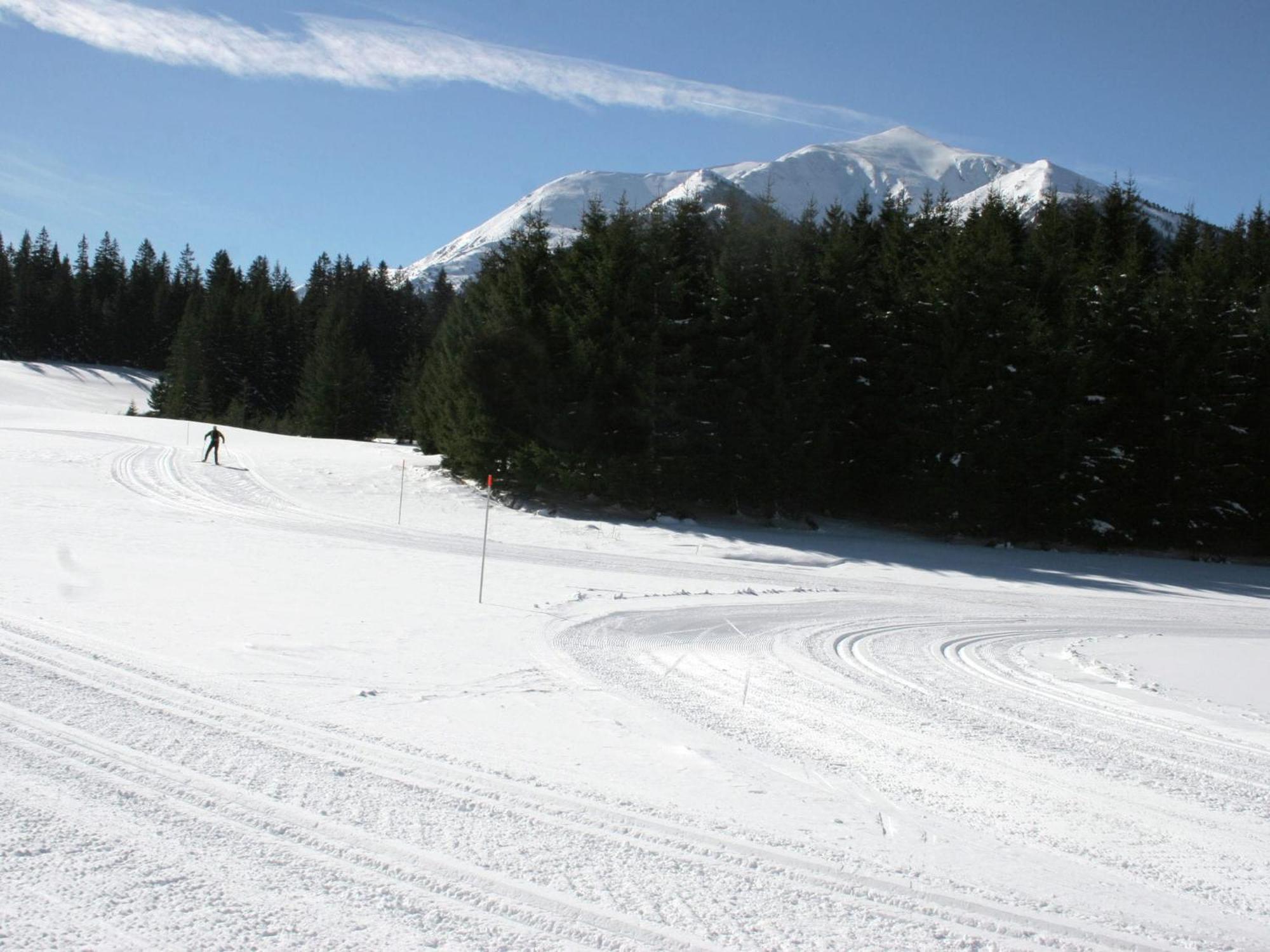 Chalet In Hohentauern Near Ski Area With Sauna Extérieur photo